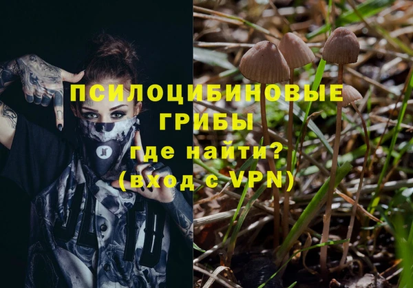 прущая мука Армянск